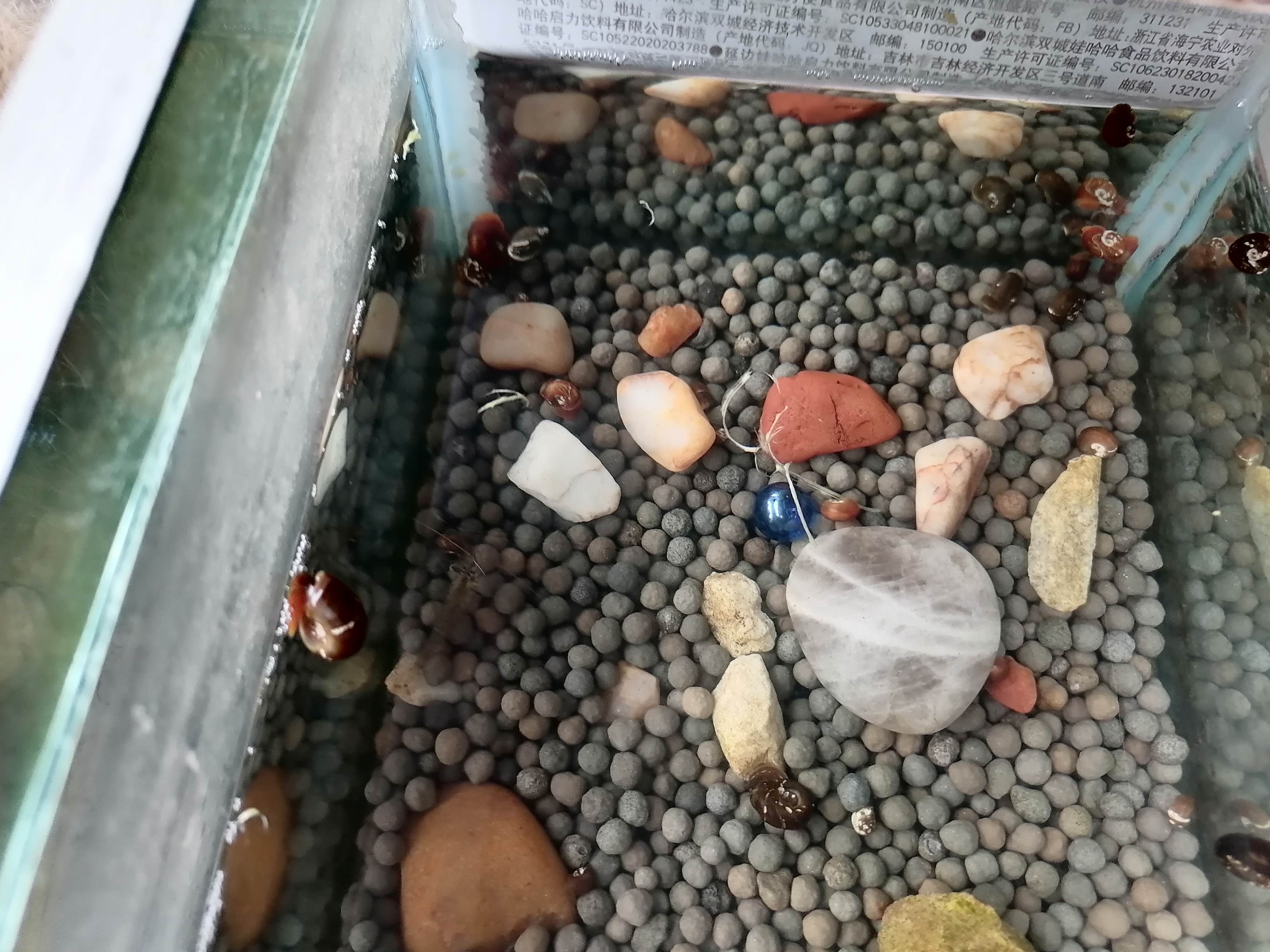 【十一活动】萌宠大赛,抽100元红包~ 【十一活动】萌宠大赛,抽100元红包~