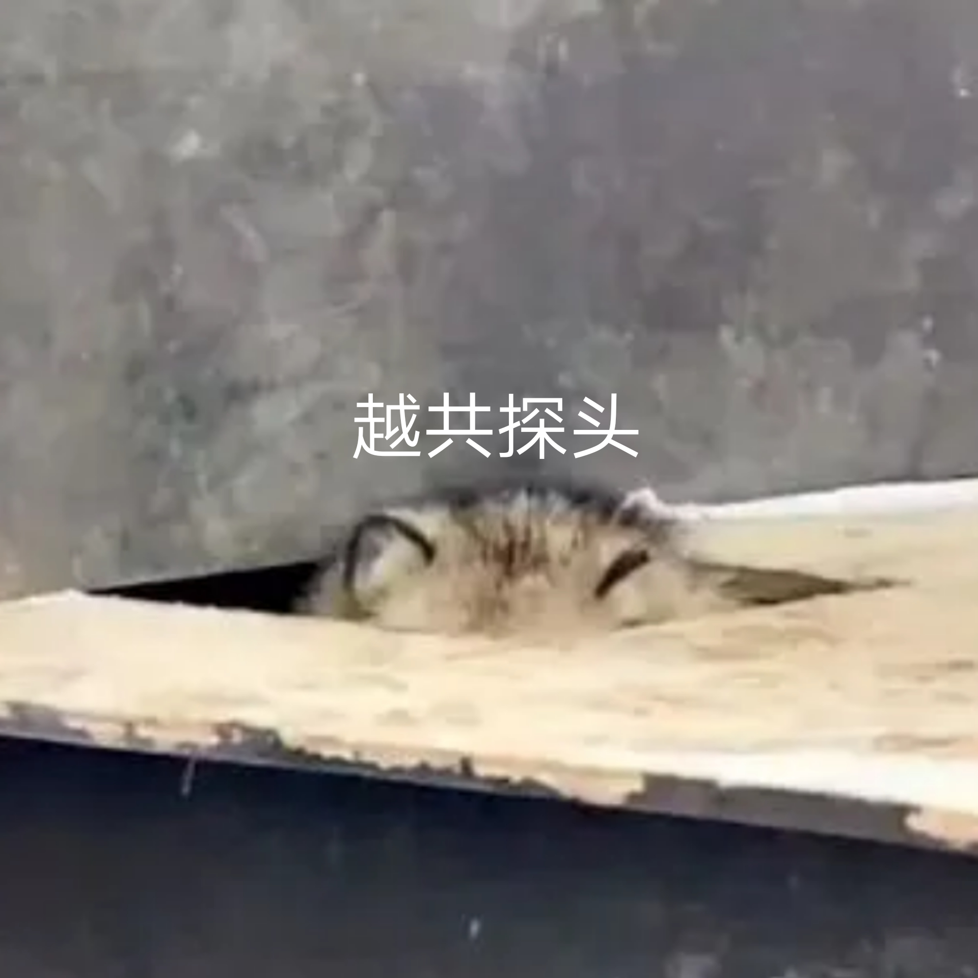 对酒馆部分人的第一印象 对酒馆部分人的第一印象