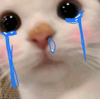 问:金匣子能开出来空气吗? 问:金匣子能开出来空气吗?