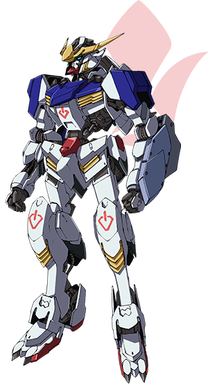 关于我疫情在家养蜘蛛这件事 关于我疫情在家养蜘蛛这件事