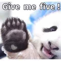 开肝预热·写在前面--序 开肝预热·写在前面--序