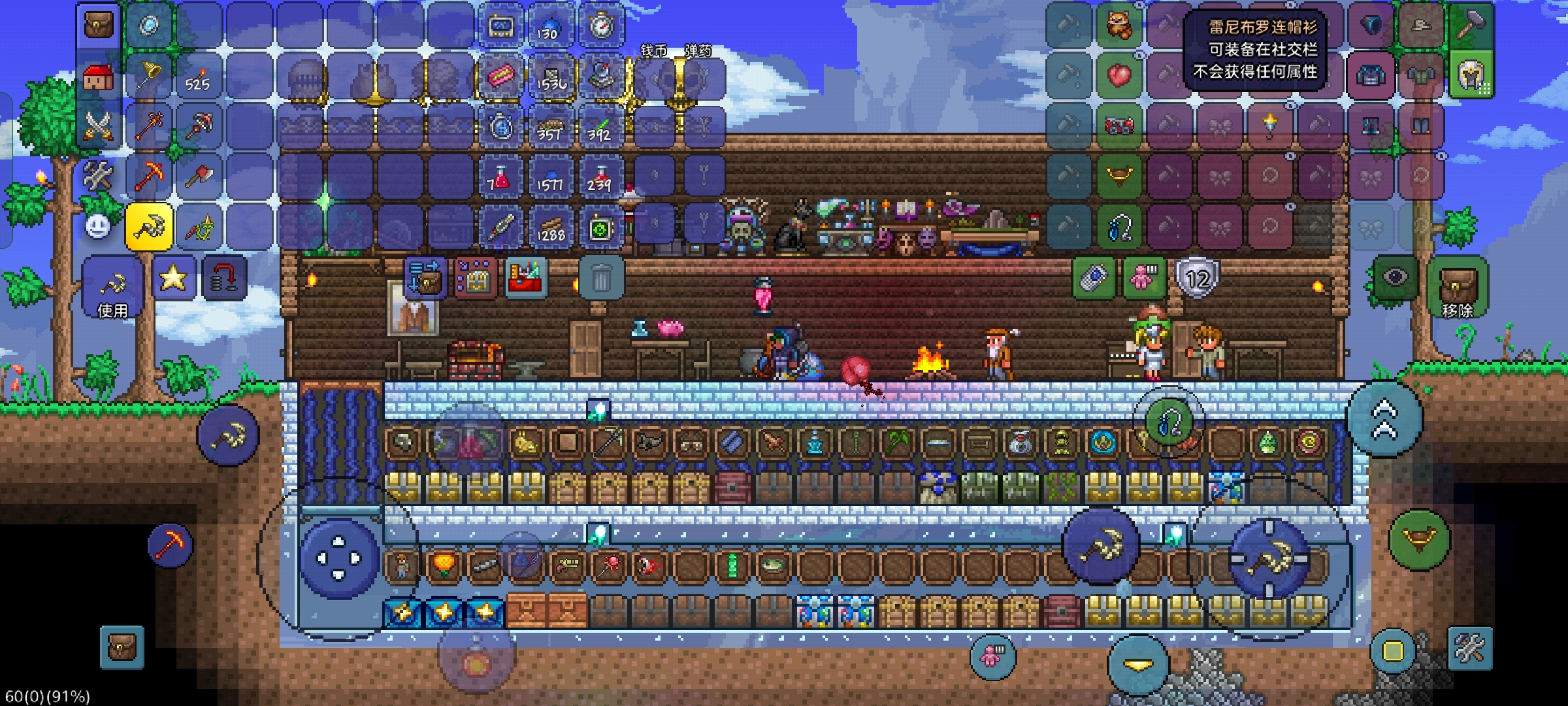 爱的付出更新的一些宠物，时装