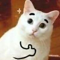 本周肝王之一 本周肝王之一