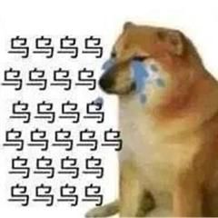 幸运教宣布破产(死灰复燃成立了) 幸运教宣布破产(死灰复燃成立了)