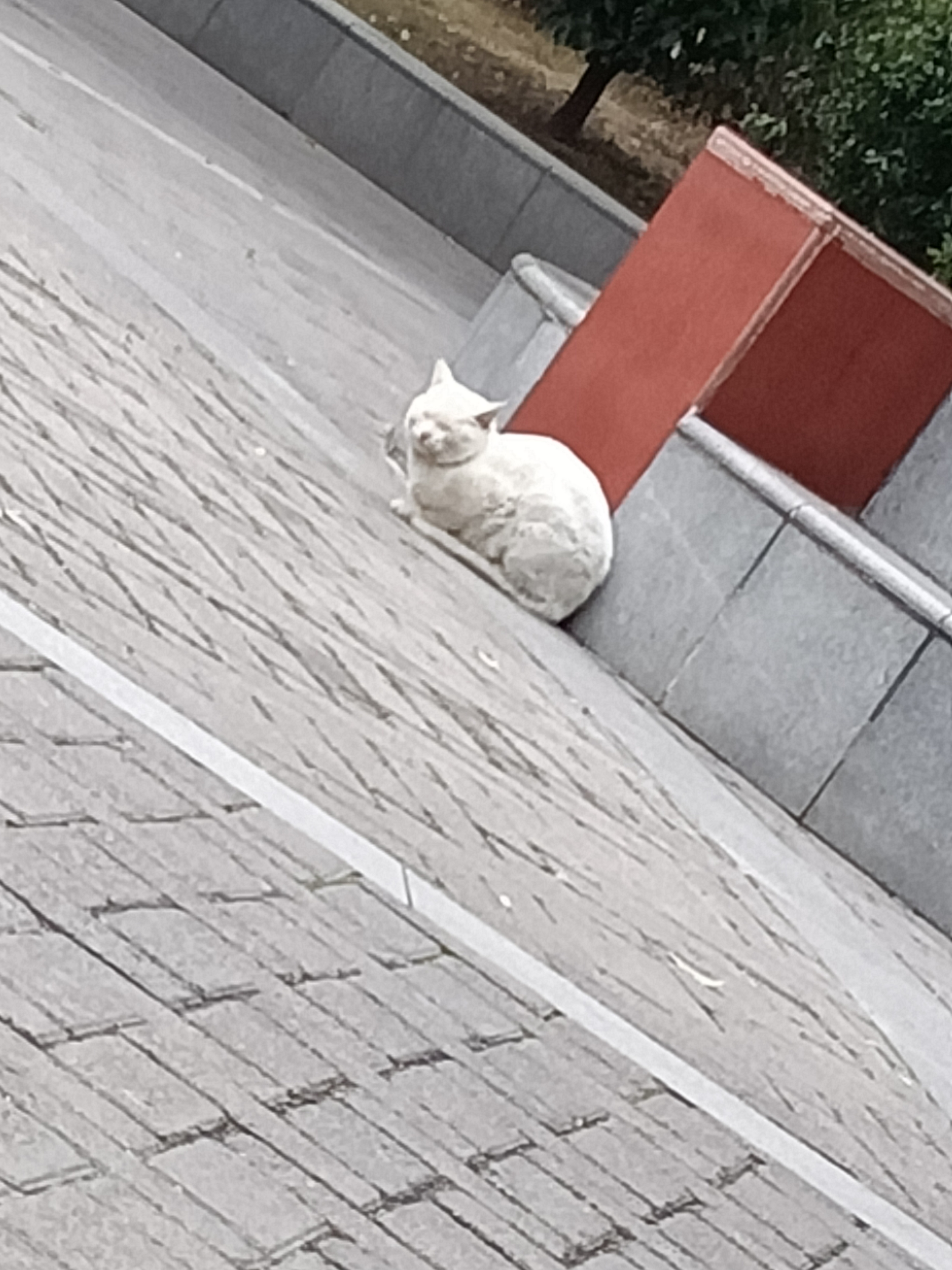 要去做手术了说实话我都没想到会有后续 要去做手术了说实话我都没想到会有后续