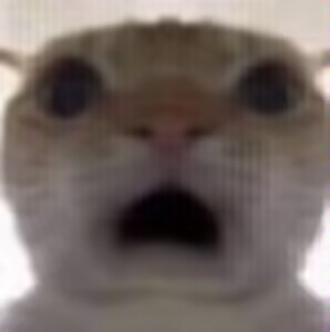 补·各职业毕业 补·各职业毕业