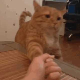 大师死亡盗贼毕业 大师死亡盗贼毕业