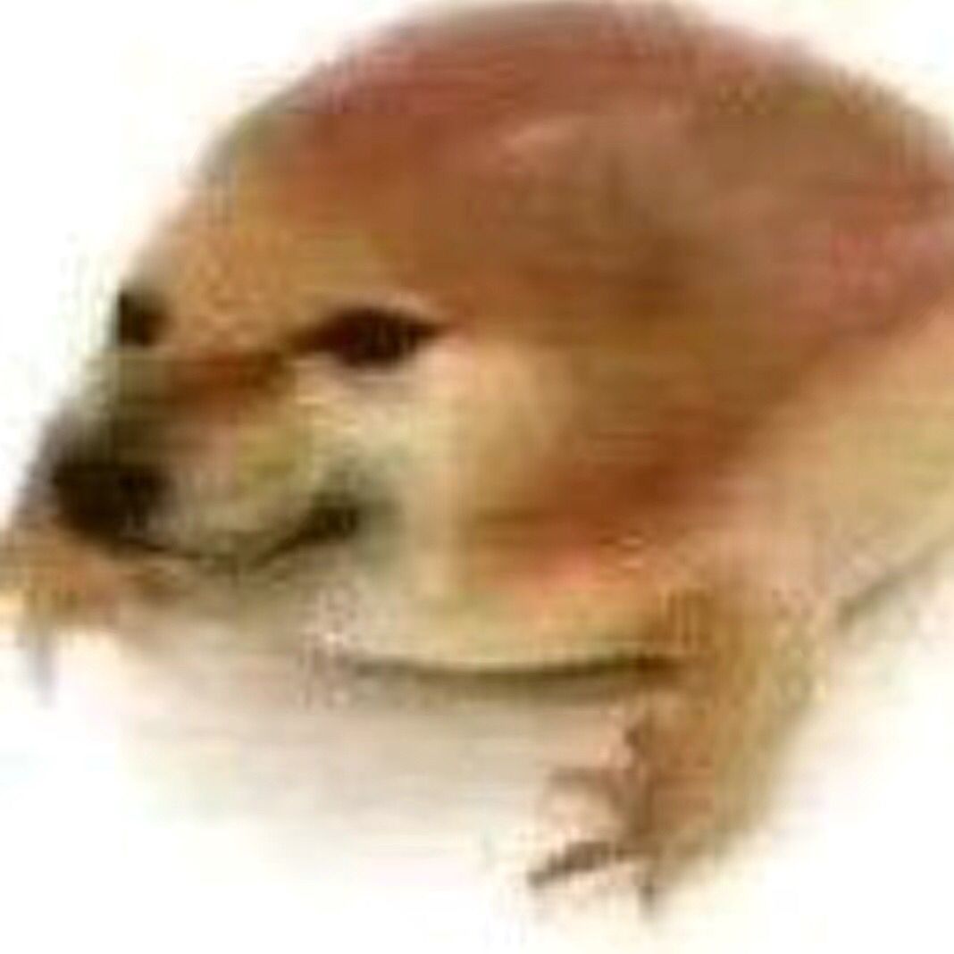 过生日啦 过生日啦