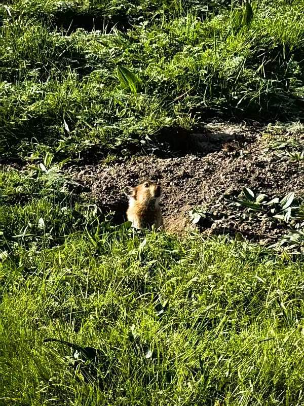 克苏鲁之云 克苏鲁之云