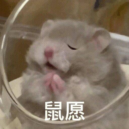 《玖玖的泰拉冒险》人物志.阿撒托斯(下) 《玖玖的泰拉冒险》人物志.阿撒托斯(下)