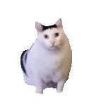 杀死一只……不,三只蜂王(其一) 杀死一只……不,三只蜂王(其一)