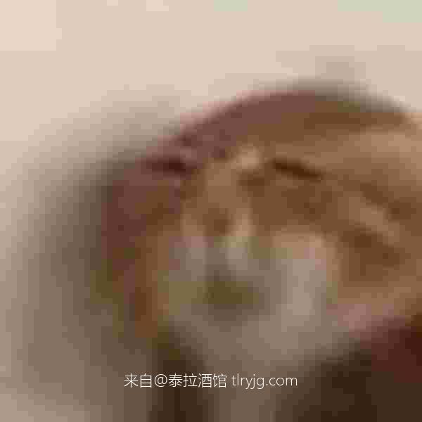 火力少年王 火力少年王