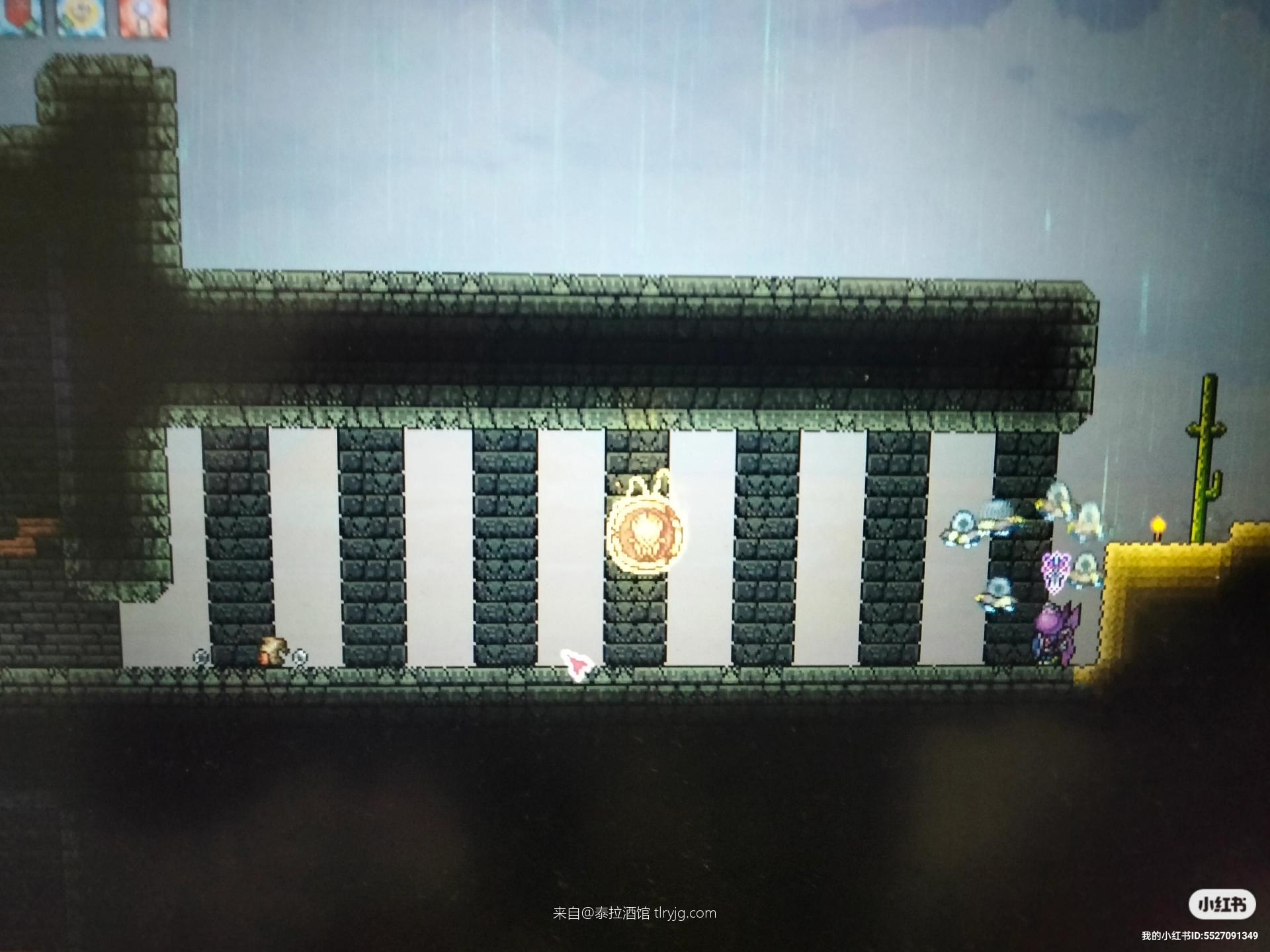 拜月教徒没有了 拜月教徒没有了