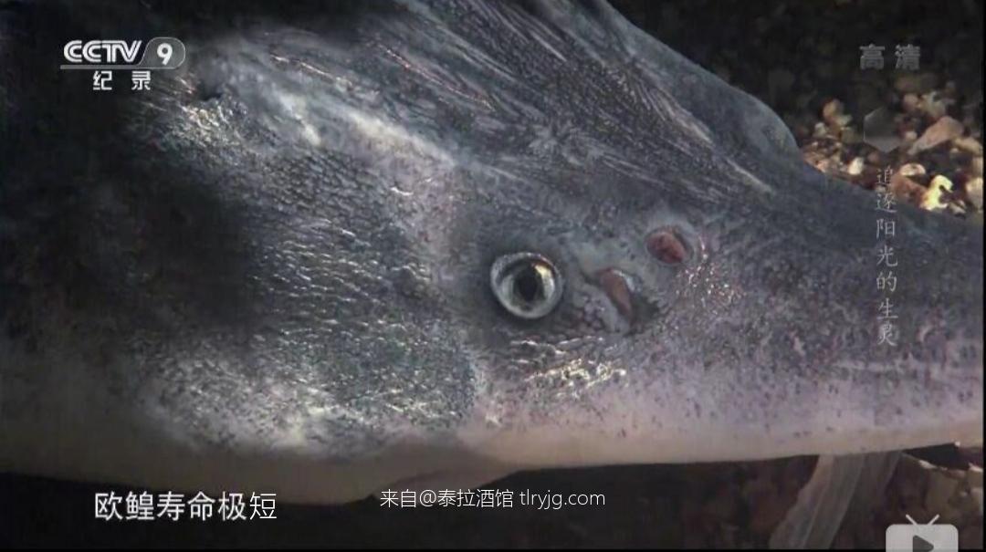 暴代弓了!!!! 暴代弓了!!!!