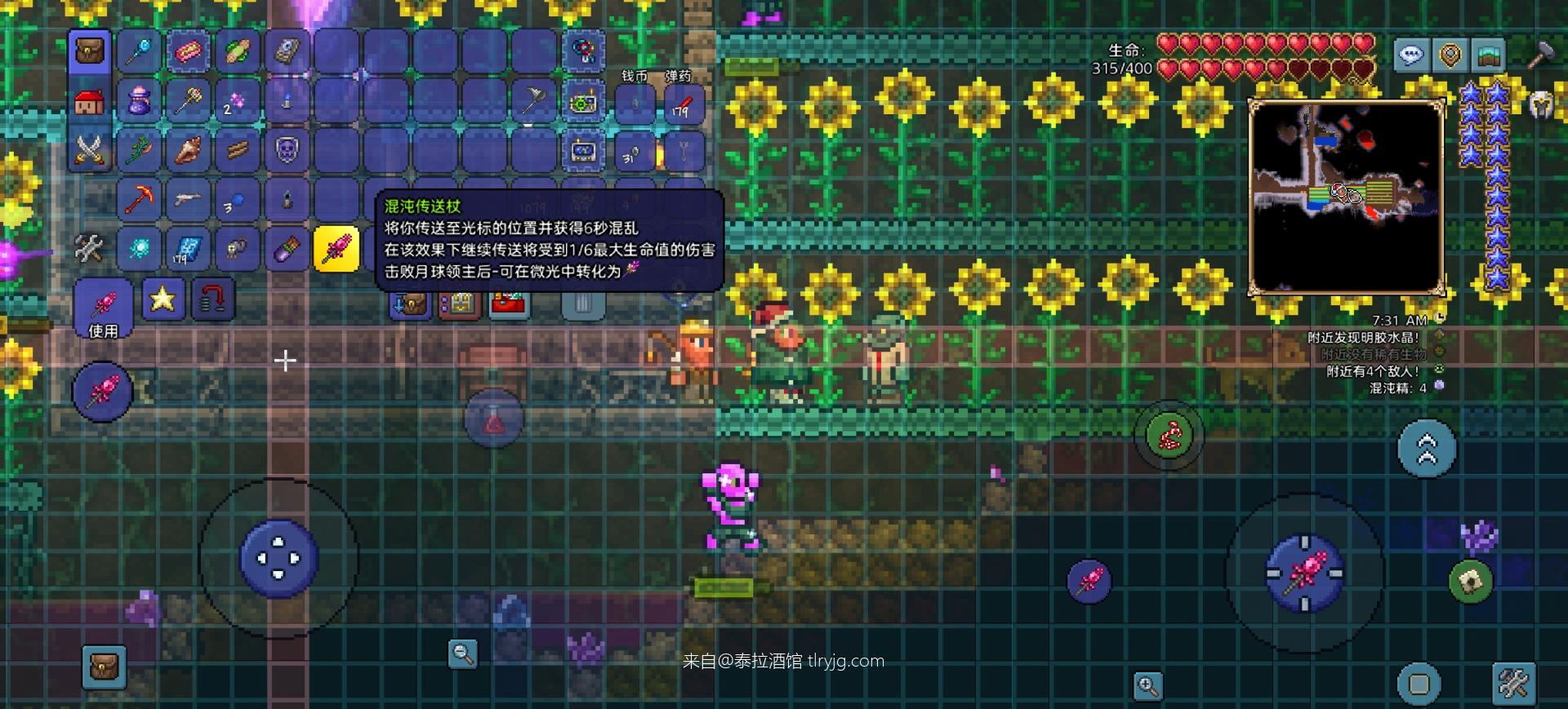 各位非酋快来吸欧气 各位非酋快来吸欧气