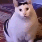 好消息九级了 好消息九级了