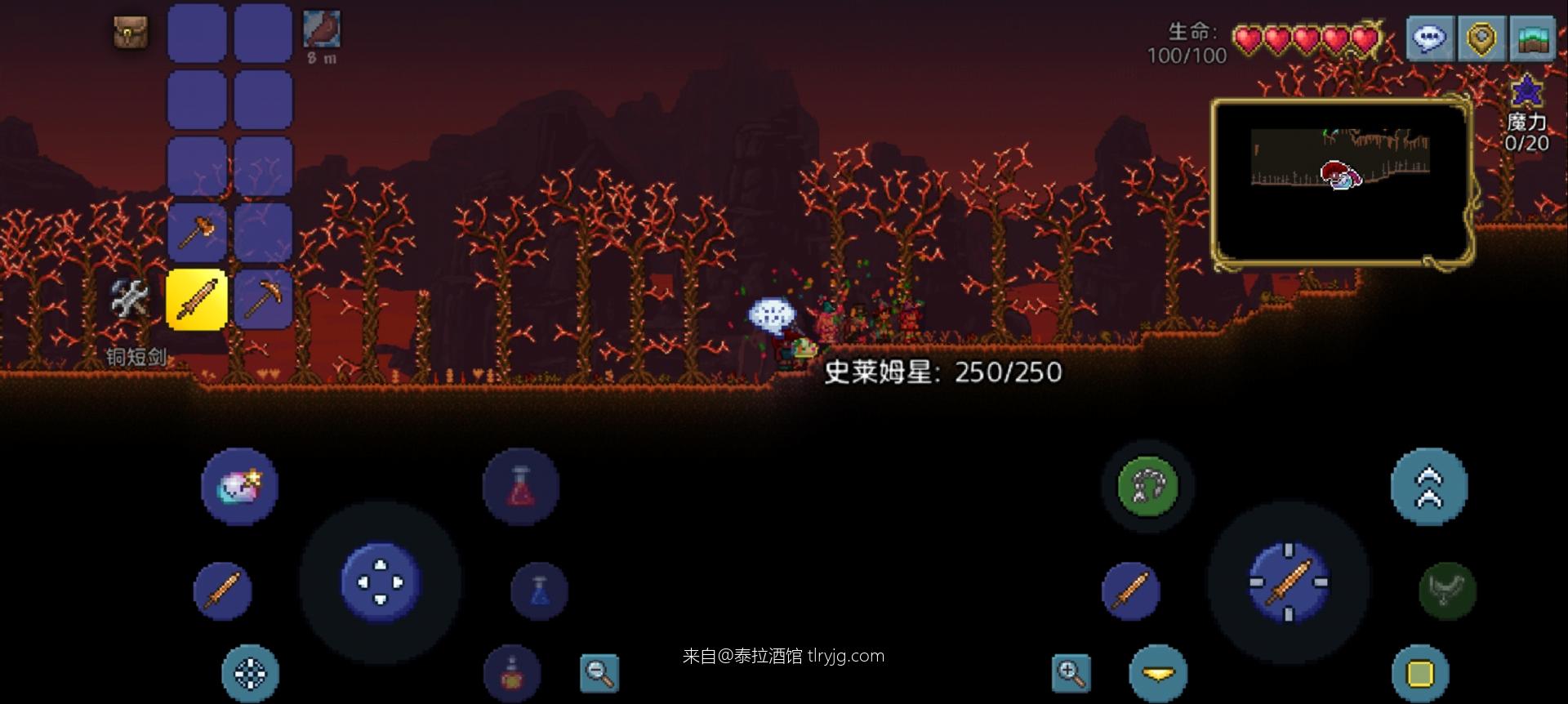 传奇天顶开坑，不知道会被虐成什么样