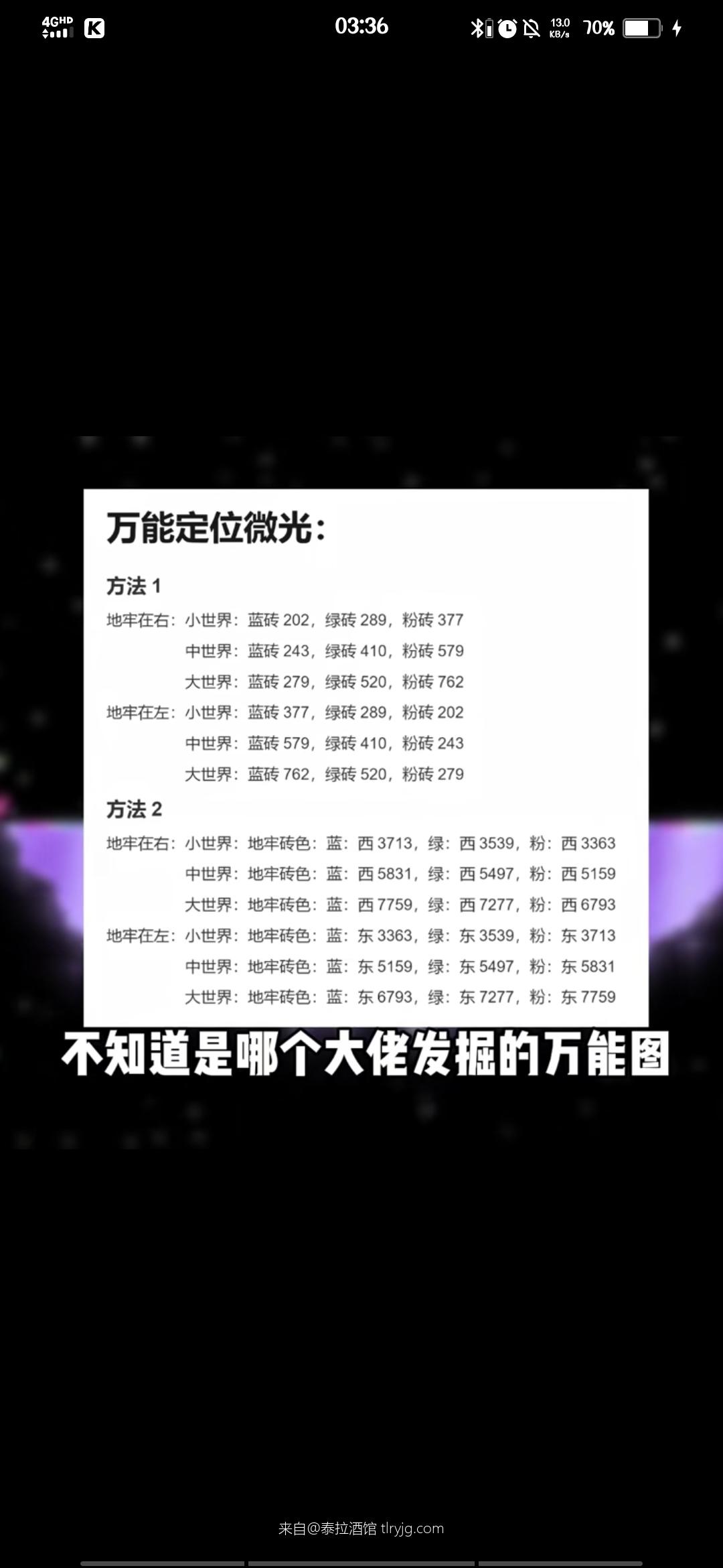 这是丛林吗。