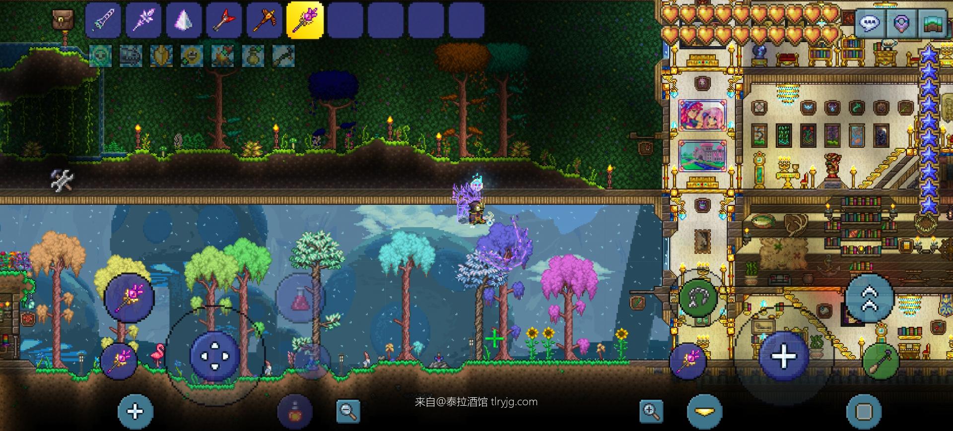 玖卿的养老小屋篇