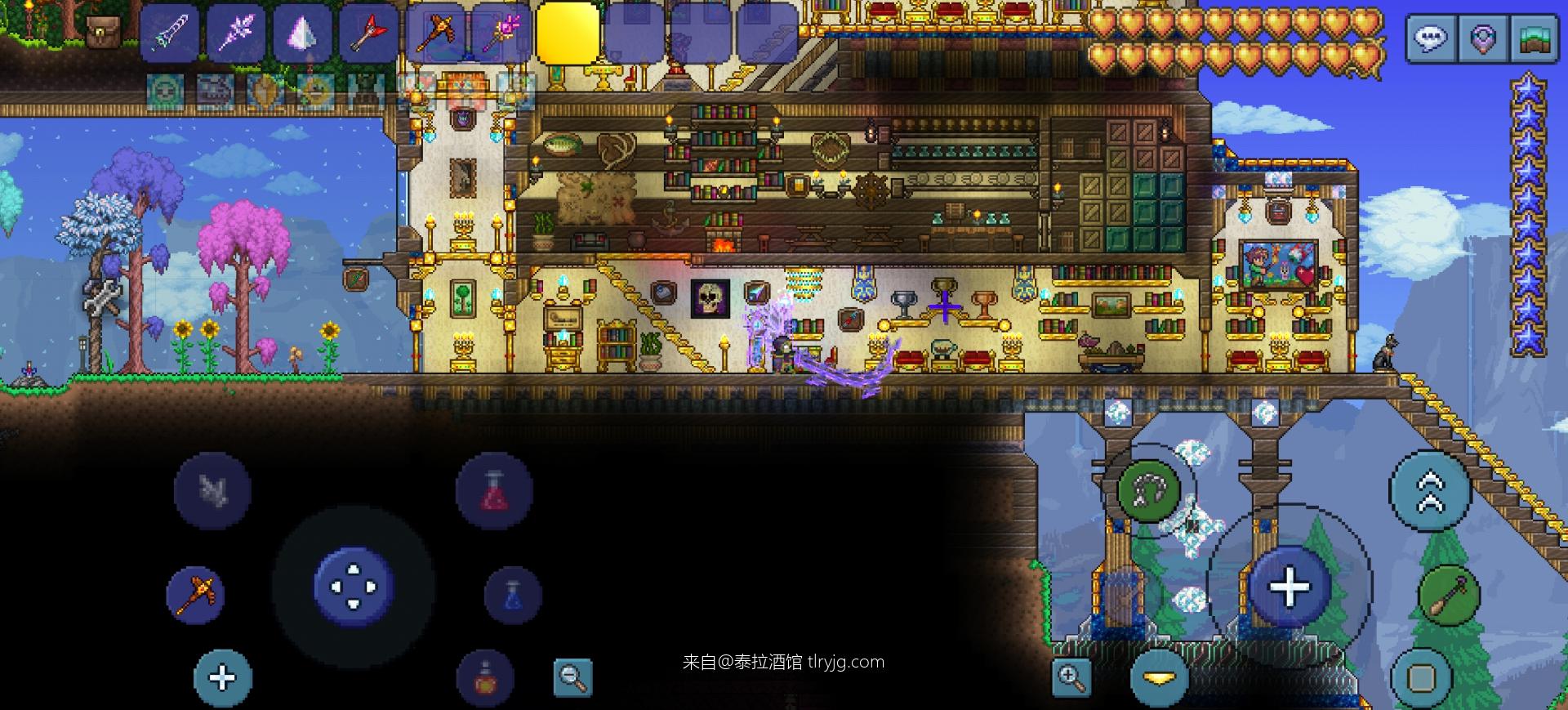 玖卿的养老小屋篇