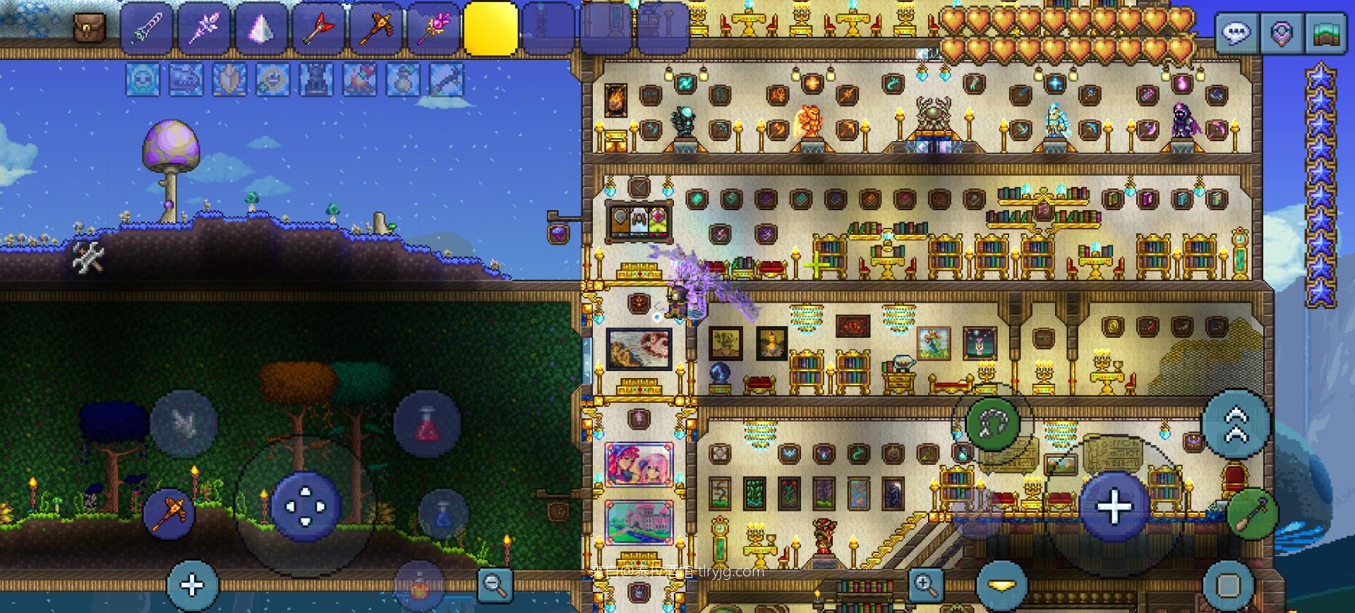 玖卿的养老小屋篇