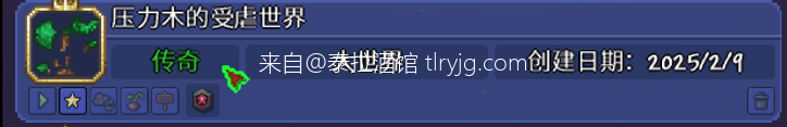此刻你脚踏诸神尸体，站在万物的焦点———calamity灾厄FTW传死通关