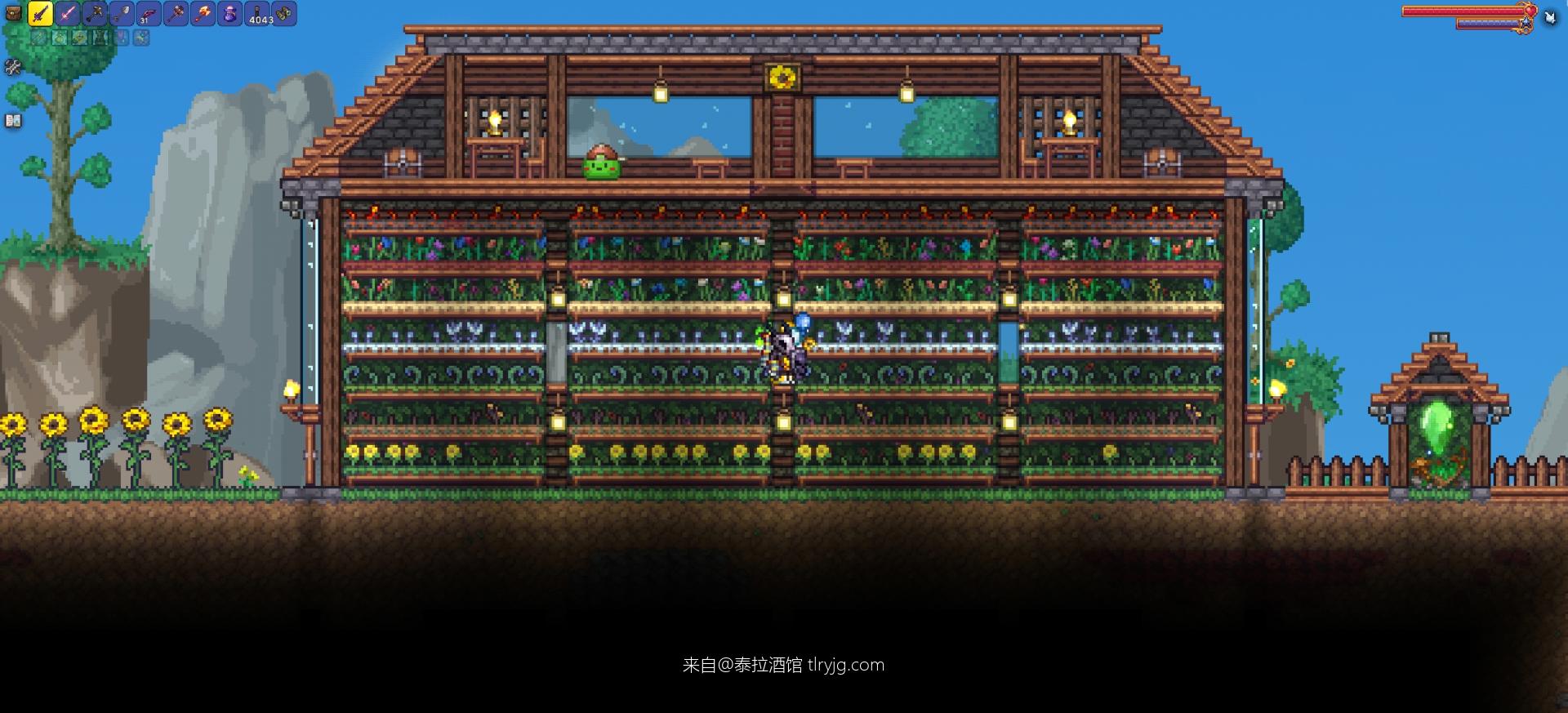 森林建筑