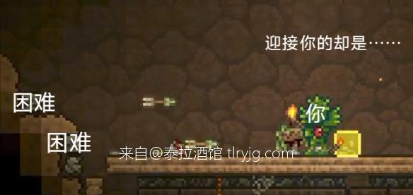 泰拉凌晨4点梗图