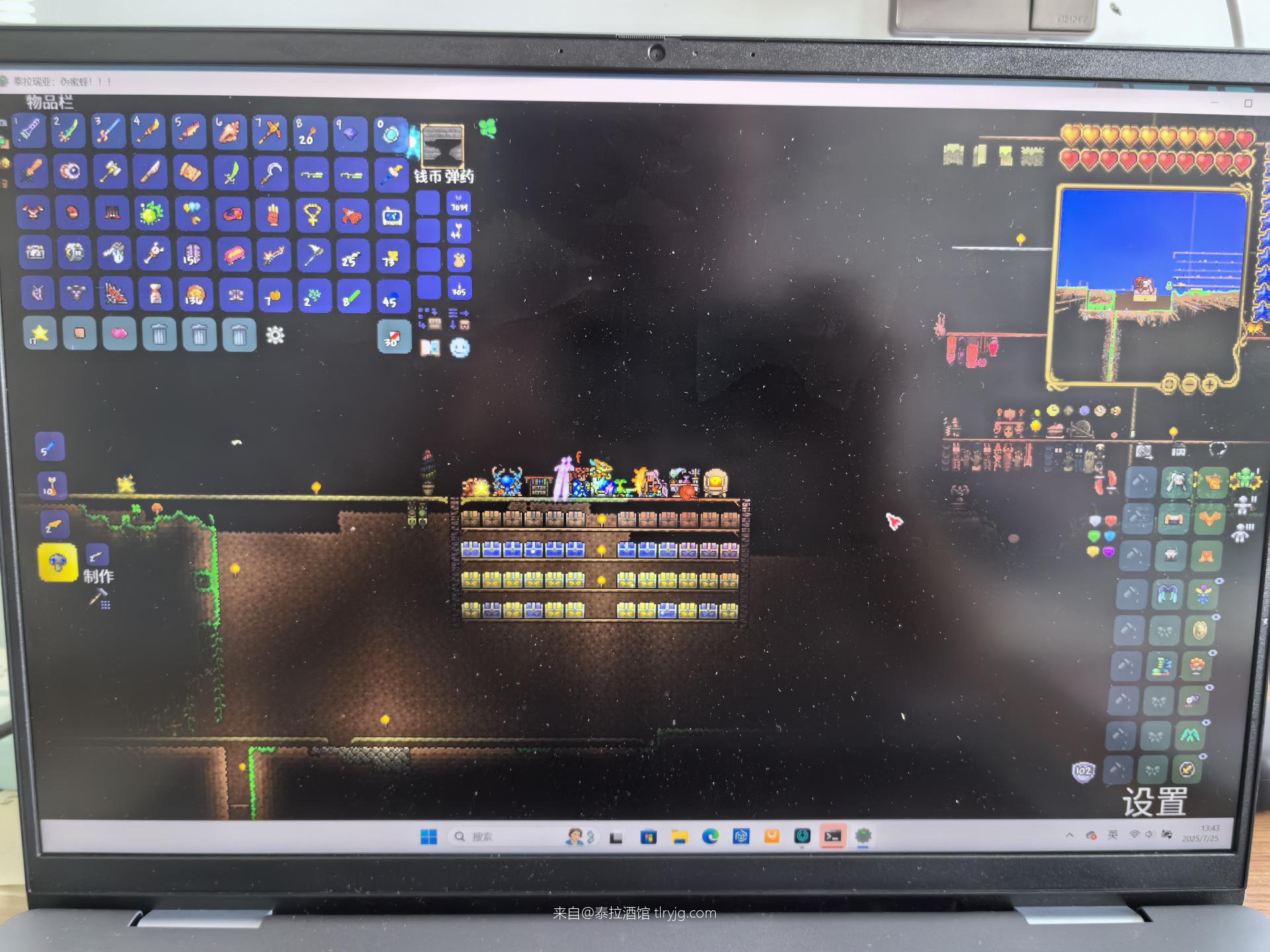 和兄弟专家毕业了