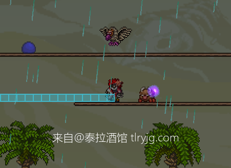 秃鹫下不来了诶