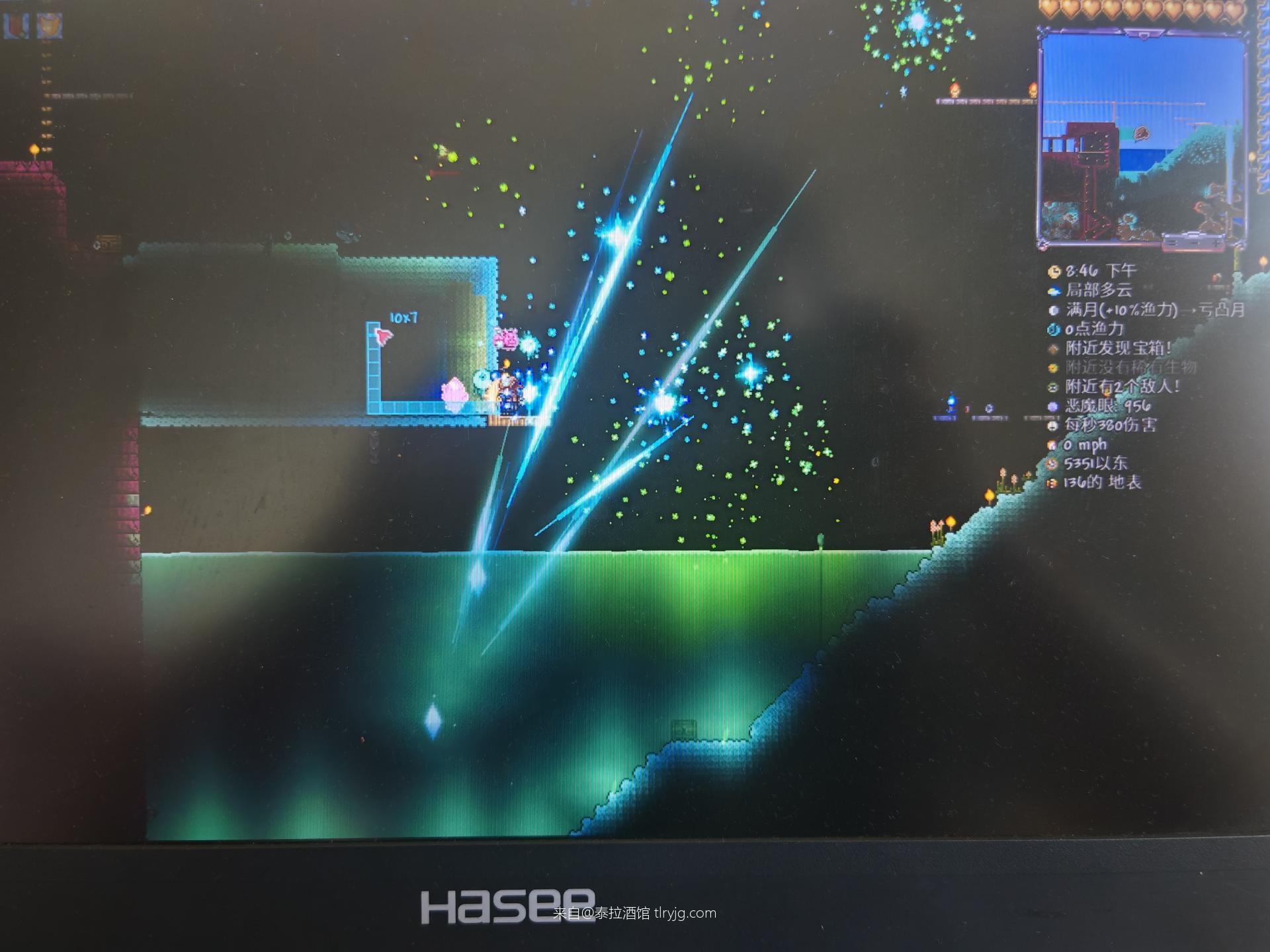 【求助】全图鉴差三个小动物 【求助】全图鉴差三个小动物