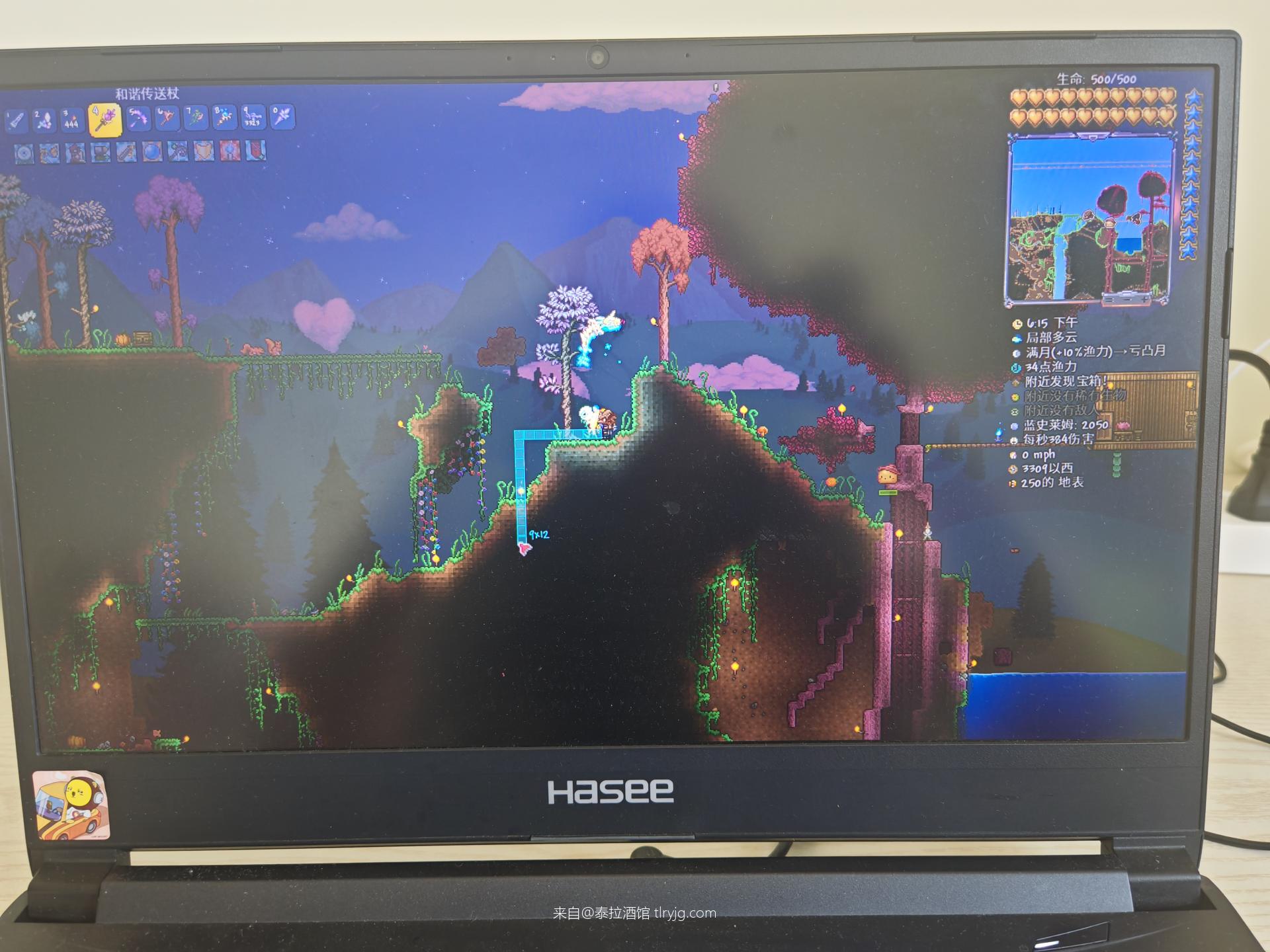 【求助】全图鉴差三个小动物 【求助】全图鉴差三个小动物