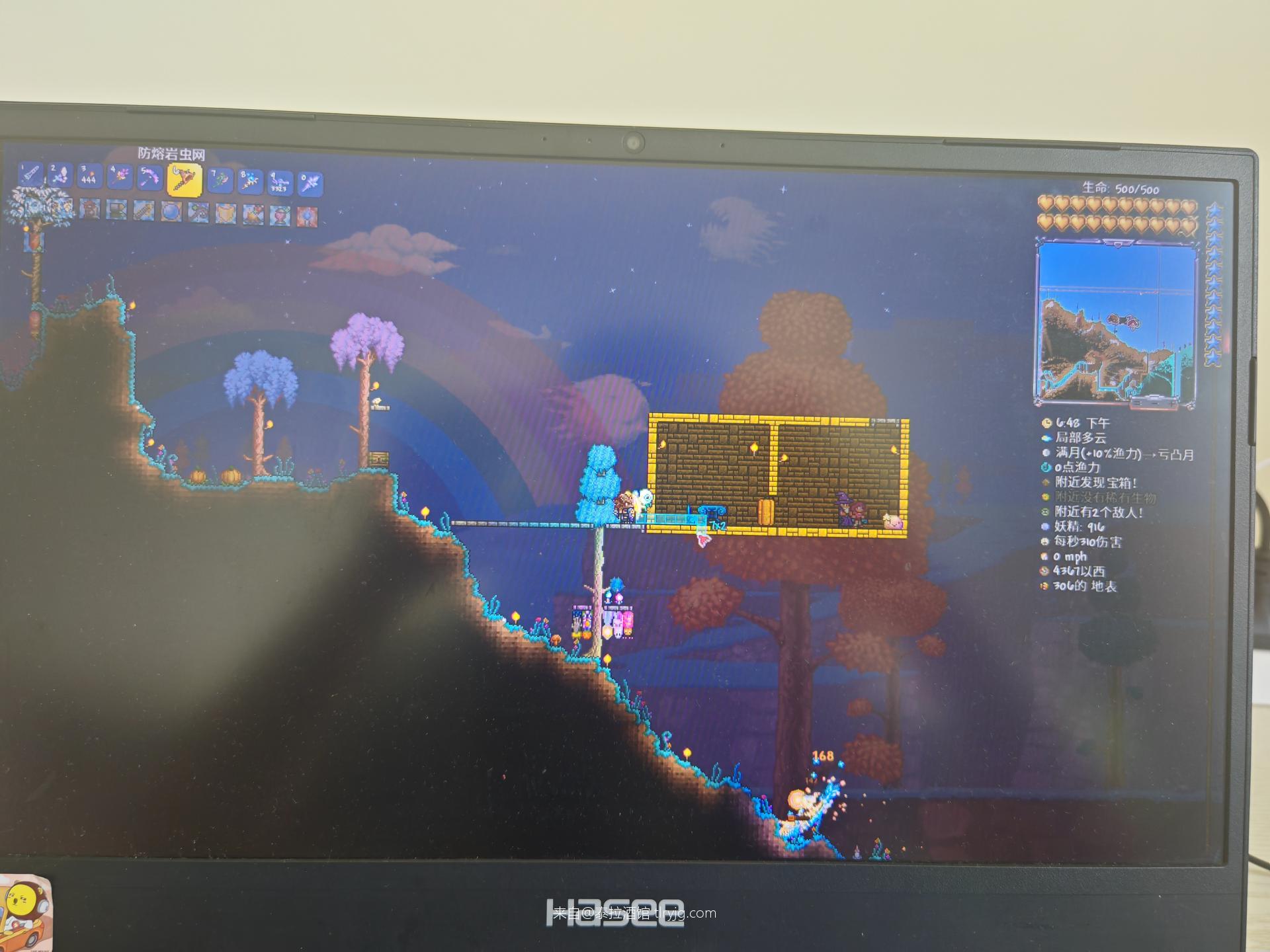 【求助】全图鉴差三个小动物 【求助】全图鉴差三个小动物