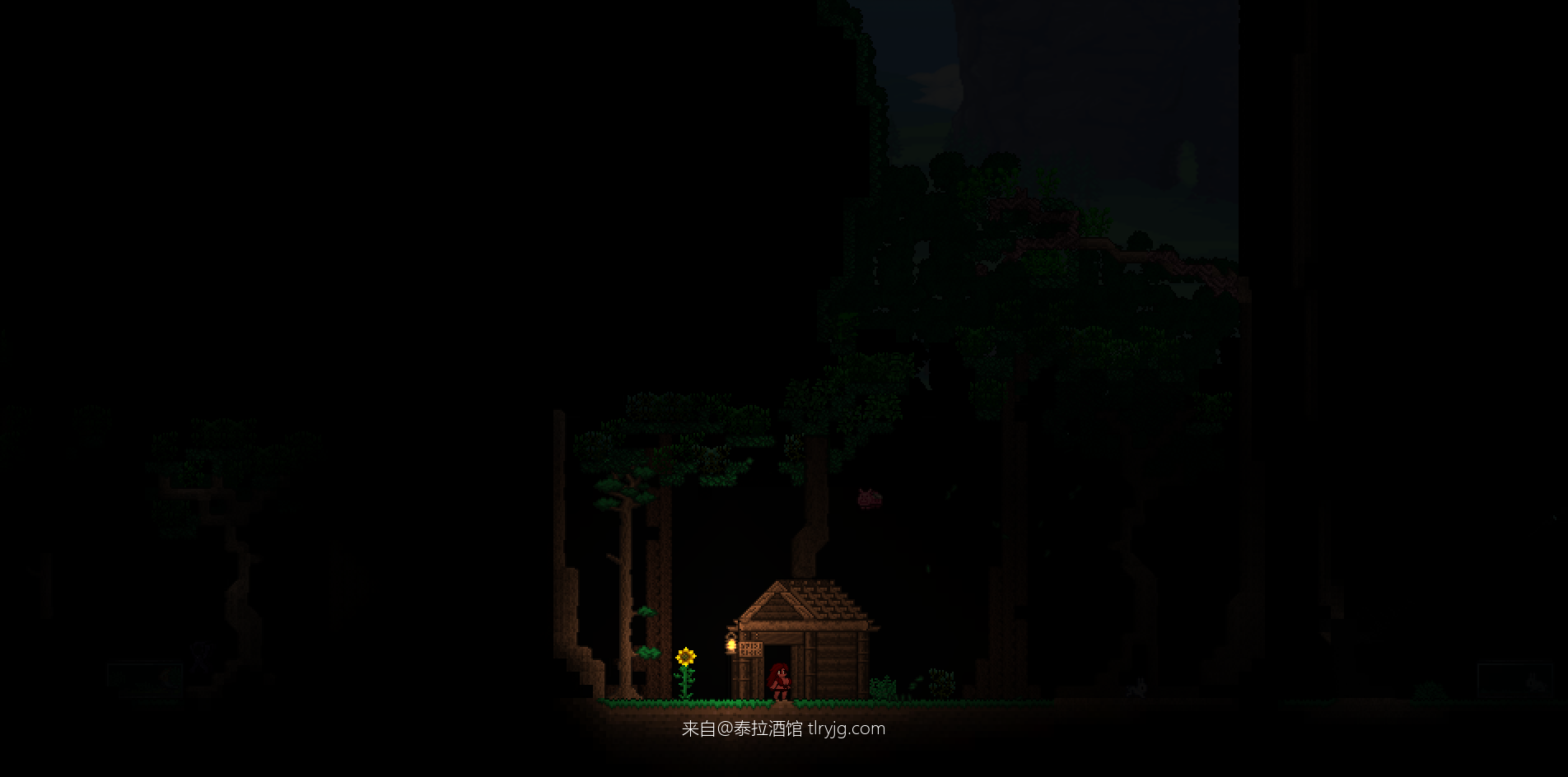 铁牛天空树 铁牛天空树