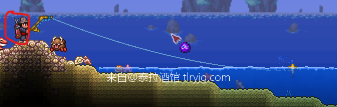 钓鱼时带着“建筑师发明背包”好像背包里有只小猫在盯着我