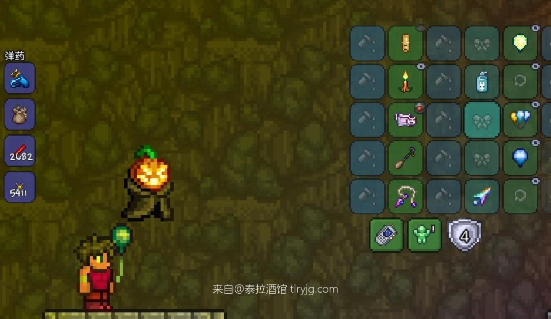 泰拉瑞亚时装搭配展示