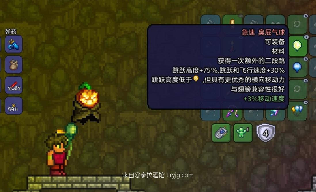 泰拉瑞亚时装搭配展示