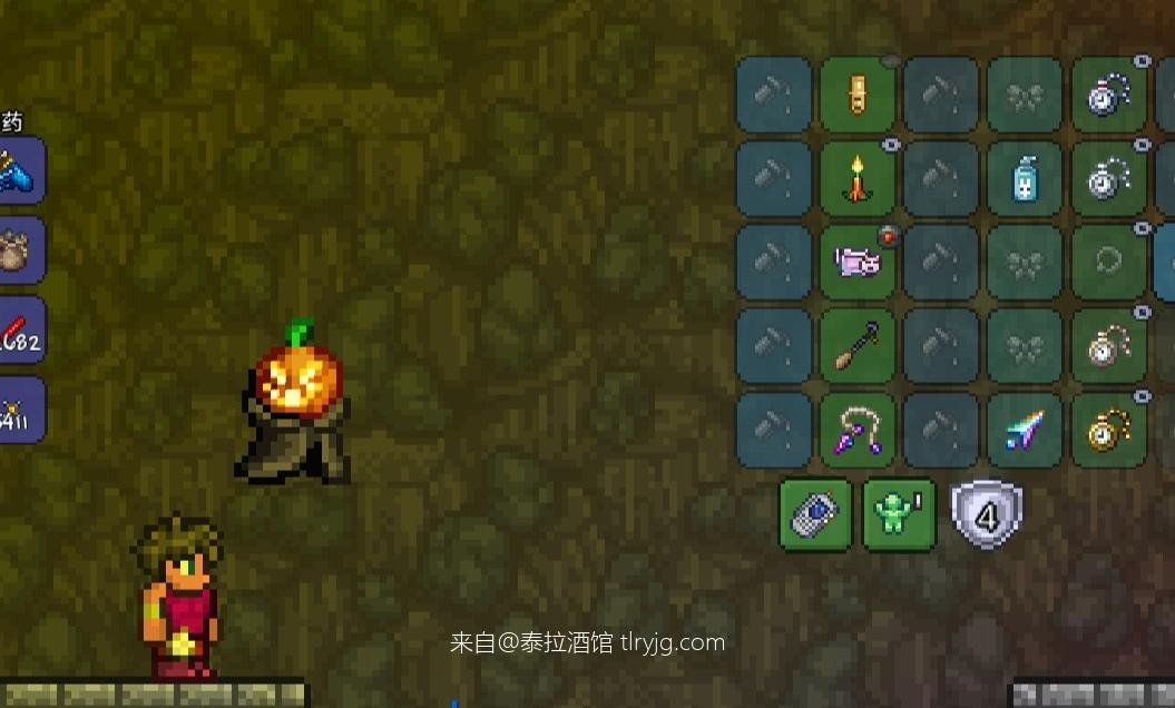 泰拉瑞亚时装搭配展示