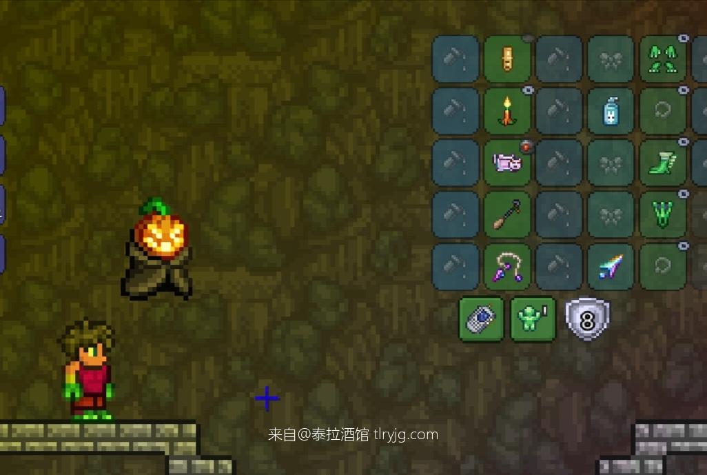 泰拉瑞亚时装搭配展示