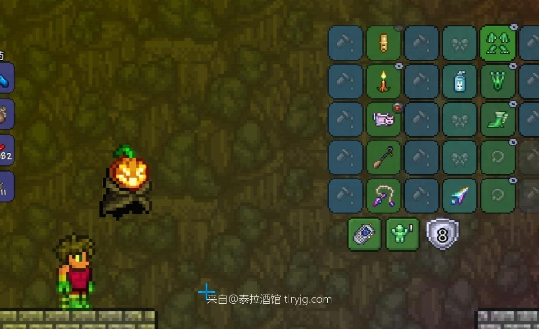 泰拉瑞亚时装搭配展示