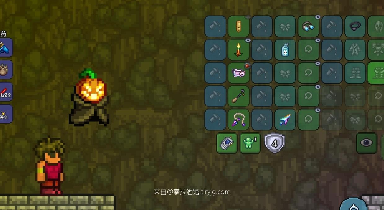 泰拉瑞亚时装搭配展示