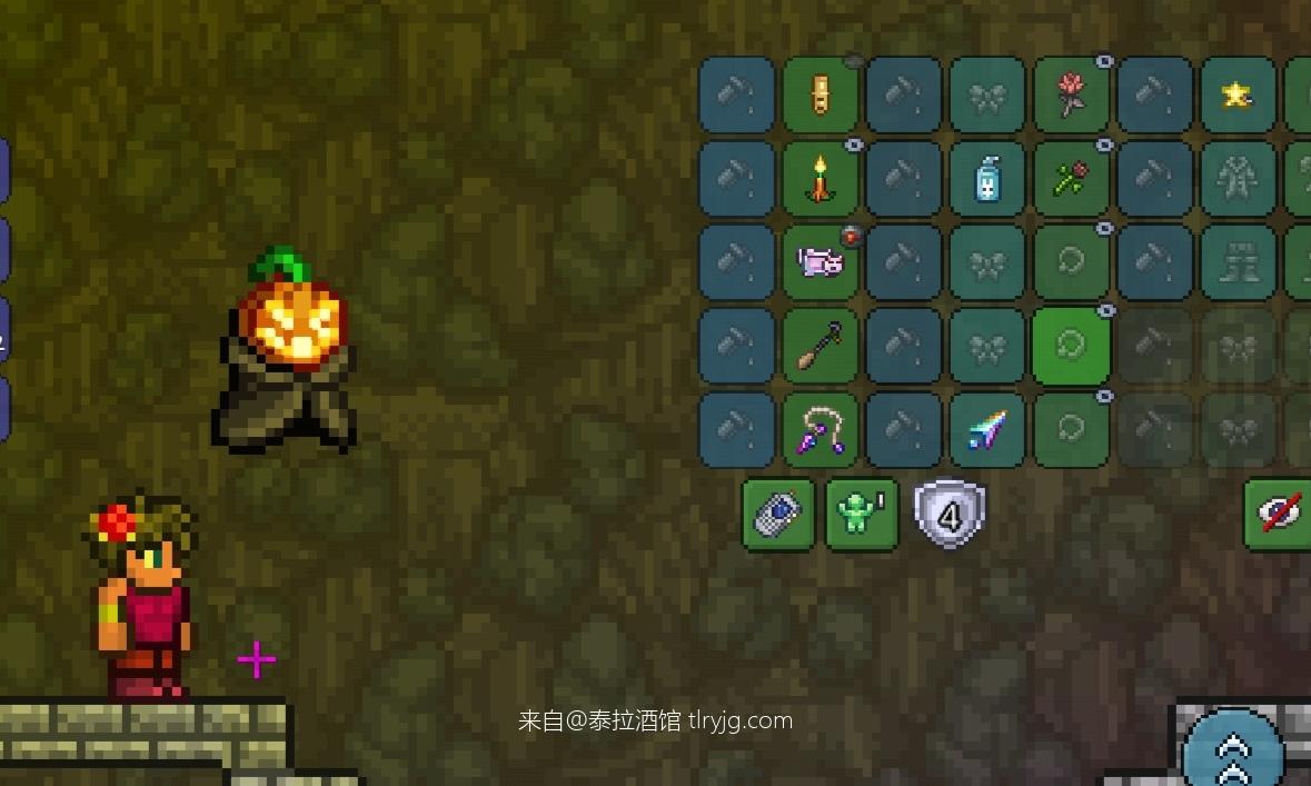 泰拉瑞亚时装搭配展示