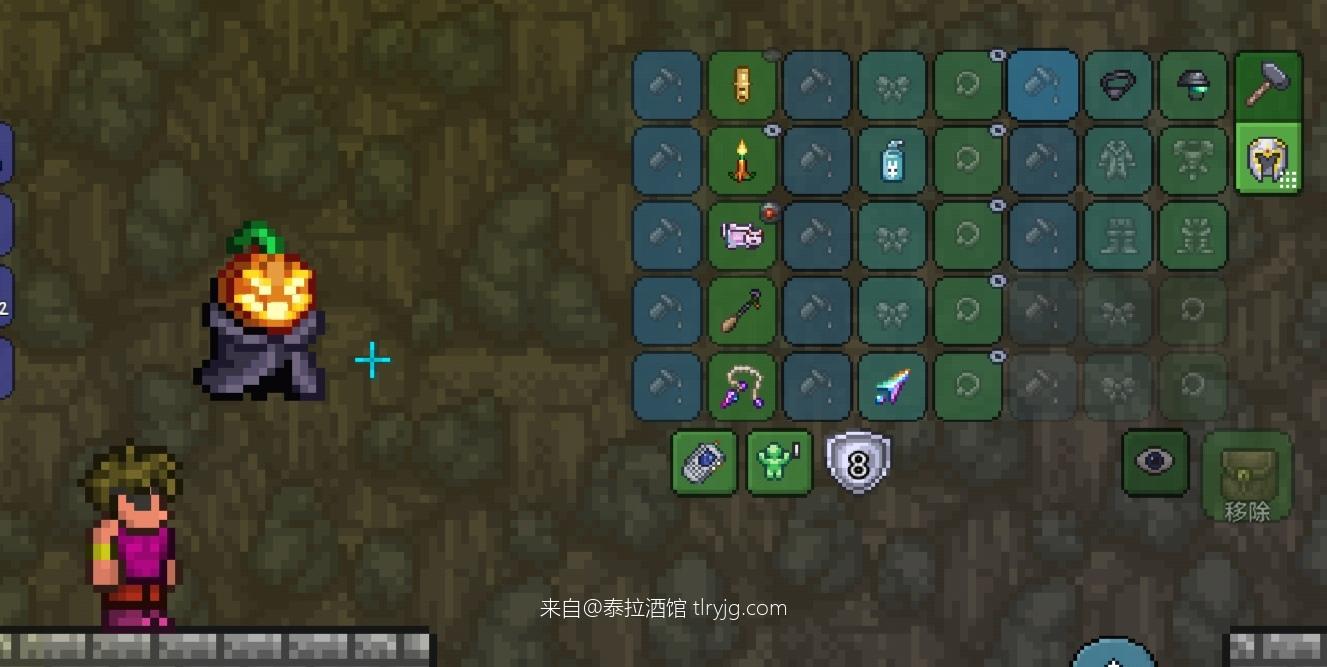 泰拉瑞亚时装搭配展示