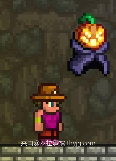 泰拉瑞亚时装搭配展示