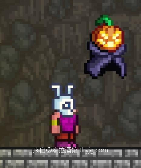 泰拉瑞亚时装搭配展示