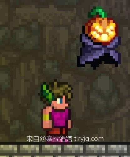 泰拉瑞亚时装搭配展示