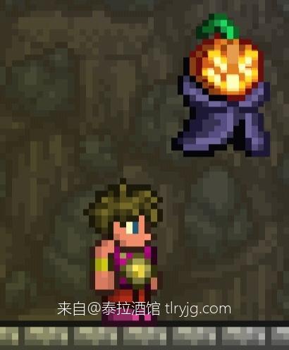 泰拉瑞亚时装搭配展示