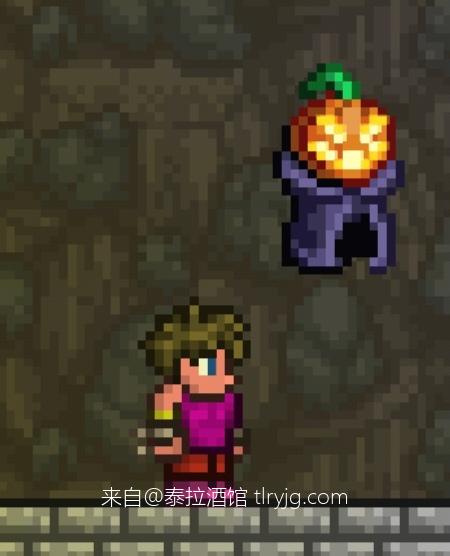 泰拉瑞亚时装搭配展示