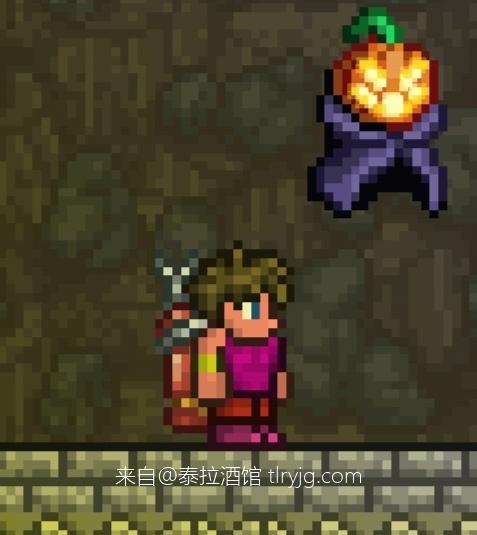 泰拉瑞亚时装搭配展示