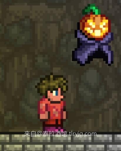 泰拉瑞亚时装搭配展示